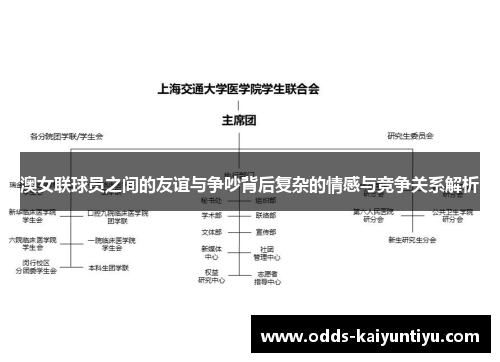 澳女联球员之间的友谊与争吵背后复杂的情感与竞争关系解析