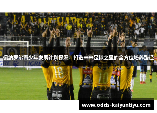 佩纳罗尔青少年发展计划探索：打造未来足球之星的全方位培养路径