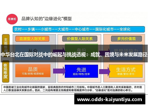 中华台北在国际对战中的崛起与挑战透视：成就、困境与未来发展路径