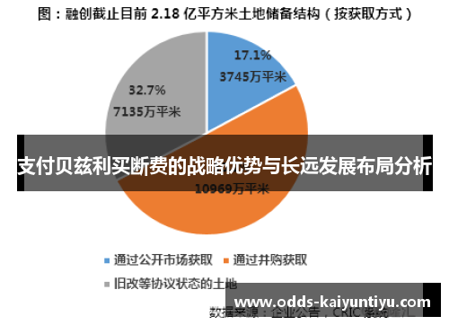 支付贝兹利买断费的战略优势与长远发展布局分析